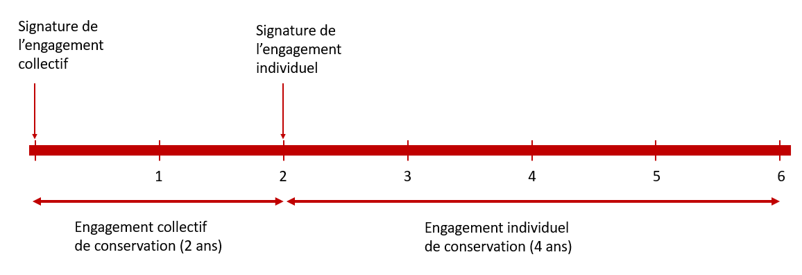 Pacte Dutreil